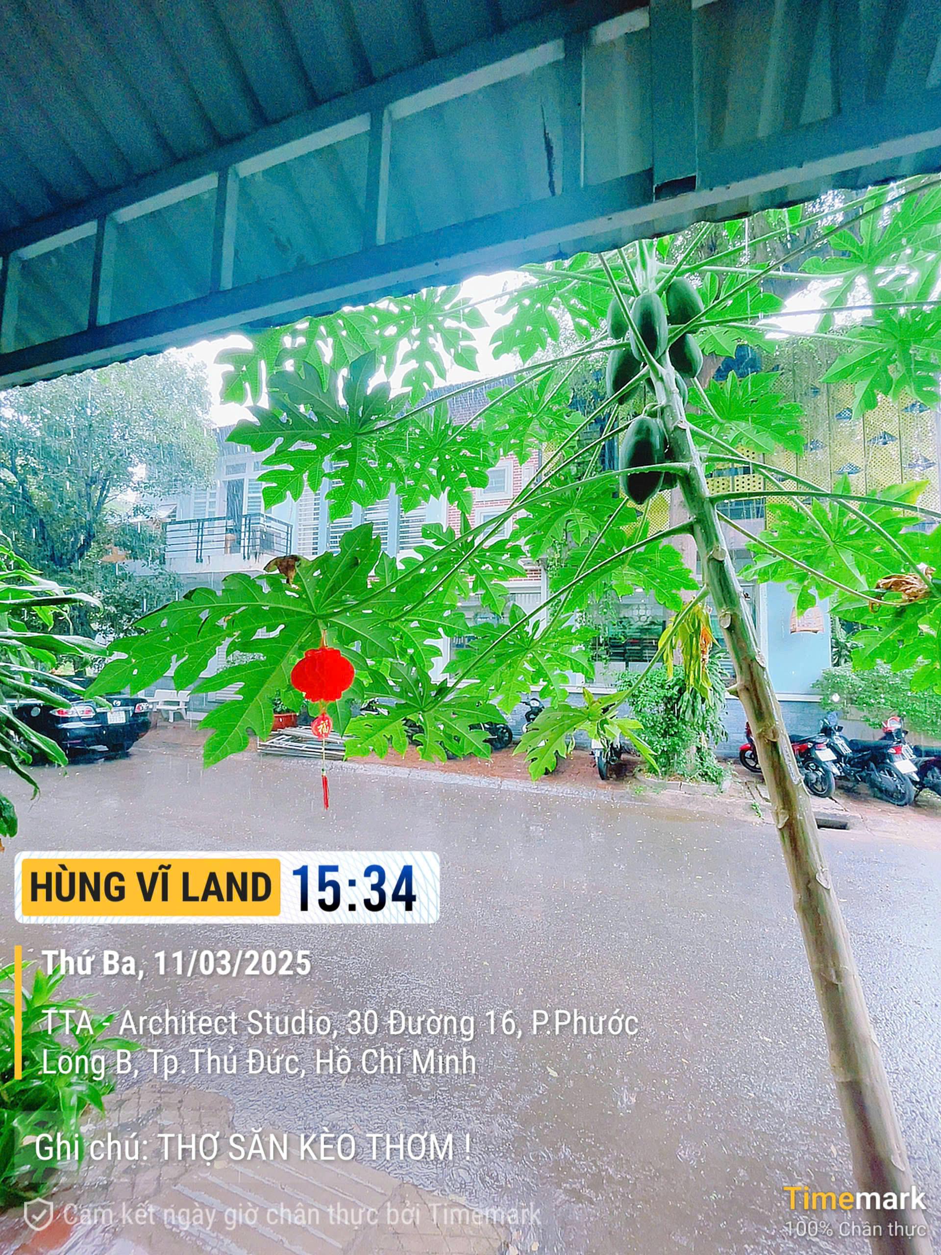 BDS  HVL CHO THUÊ 4000m2 View Sông An Phú Q2  GIÁ 350 TRIỆU/THÁNG  🔥 