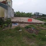 Chính chủ cần bán lô đất tại Ngã Tư Bình Thanh - Thôn Điện Biên - Xã
