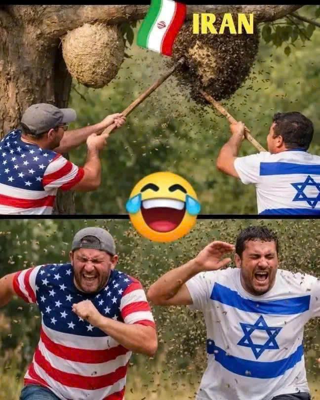 BDS  HVL [NC] BÁN LÔ 1000M2 SỐ 65A ĐƯỜNG 297 PHƯỚC LONG B Q9  